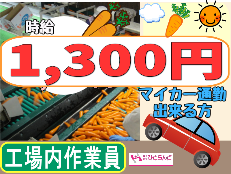 ◎［富良野市]時給1300円可！7月中旬開始！期間限定稼げるお仕事！自家用車で通勤したい方向け！大量募集！にんじん選別のお仕事！［ID0501586-max] イメージ