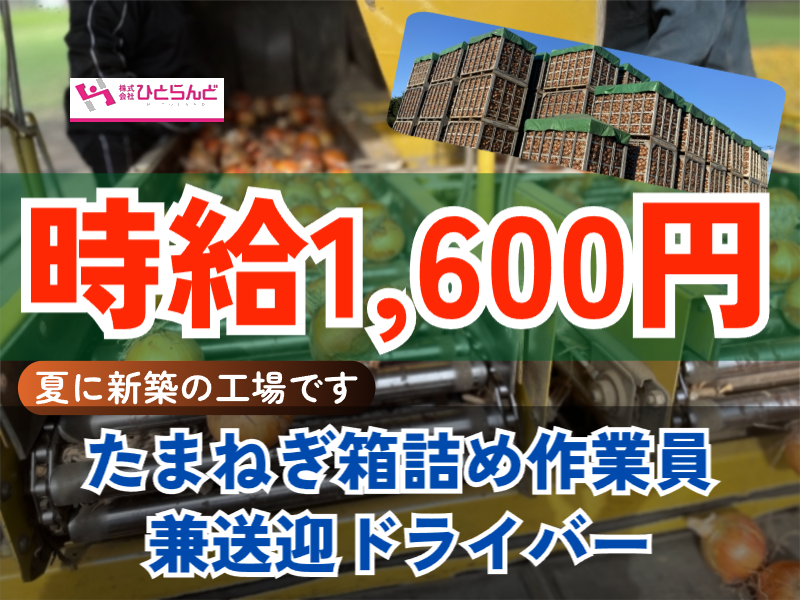 ◎［富良野市]✨時給1600円✨旭川市内から富良野市までの送迎ドライバーをお願いいたします⭕️未経験の方も歓迎！新築工場のたまねぎ箱詰め作業員兼送迎ドライバー！［ID0601599-max] イメージ