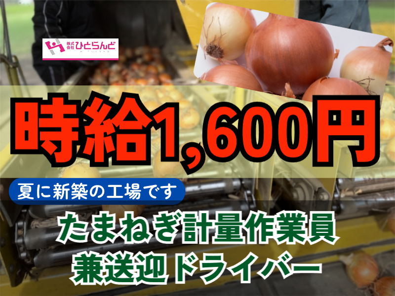 ◎［富良野市]✨時給1600円✨旭川市内から富良野市までの送迎ドライバーをお願いいたします⭕️未経験の方も歓迎！新築工場のたまねぎ計量作業員兼送迎ドライバー！［ID0801599-max] イメージ