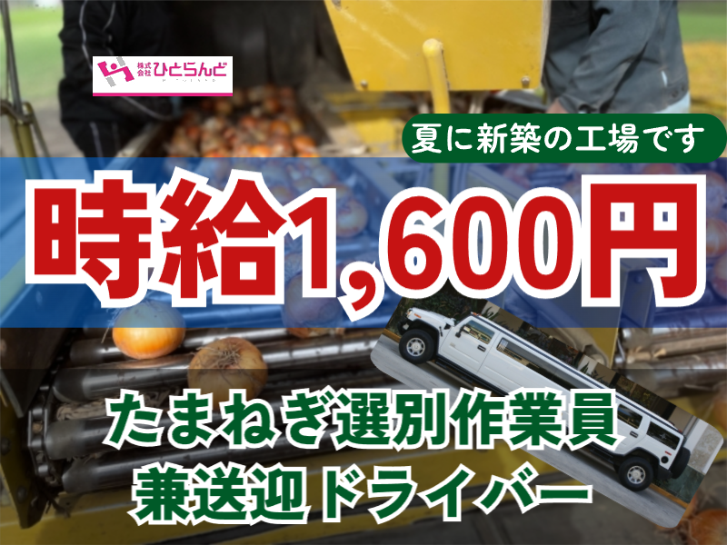 ◎［富良野市]?時給1600円?旭川市内から富良野市までの送迎ドライバーをお願いいたします??未経験の方も歓迎！新築工場のたまねぎ選別作業員兼送迎ドライバー！［ID0501599-max] イメージ