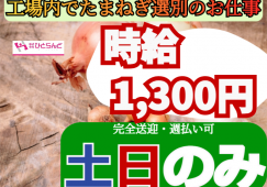 ◎［富良野市]?時給1300円?土日のみ勤務したい方！未経験の方も歓迎??旭川市内から自走可能な方歓迎！新築工場のたまねぎ選別作業員！［ID0501605-max] イメージ