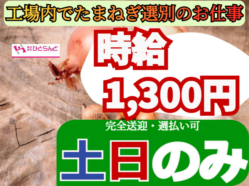 ◎［富良野市]✨時給1300円✨土日のみ勤務したい方！未経験の方も歓迎⭕️旭川市内から自走可能な方歓迎！新築工場のたまねぎ選別作業員！［ID0501605-max] イメージ