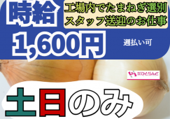 ◎［富良野市]✨時給1600円✨土日のみ勤務したい方！旭川市内から富良野市までの送迎ドライバーをお願いいたします⭕️未経験の方も歓迎！新築工場のたまねぎ箱詰め作業員兼送迎ドライバー！［ID0501606-max] イメージ