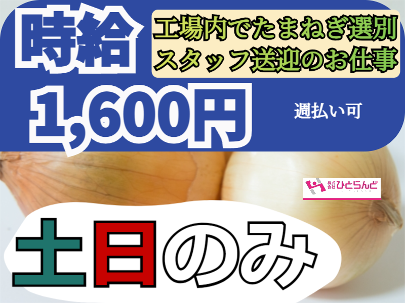 ◎［富良野市]✨時給1600円✨土日のみ勤務したい方！旭川市内から富良野市までの送迎ドライバーをお願いいたします⭕️未経験の方も歓迎！新築工場のたまねぎ箱詰め作業員兼送迎ドライバー！［ID0501606-max] イメージ